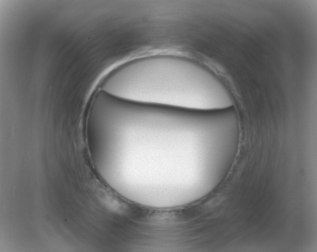X0000082931174200702011038
