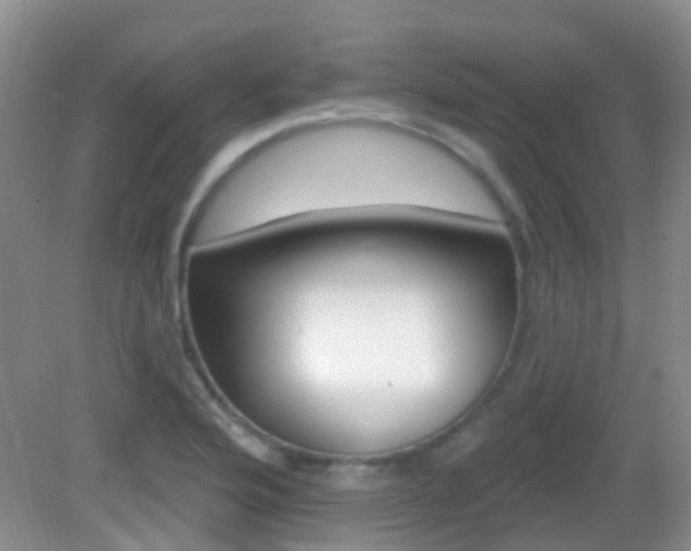 X0000082931176200702011038