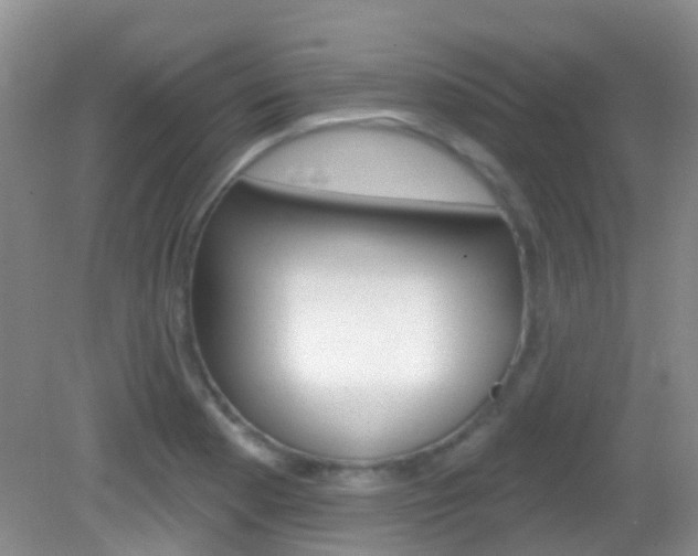 X0000082931177200702011038