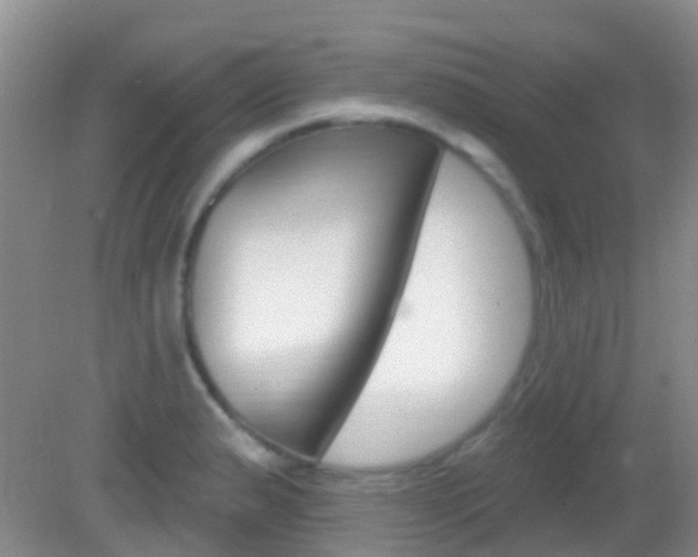 X0000082931183200702011038