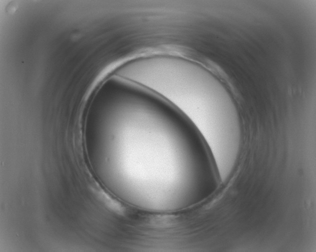 X0000082931184200702011038