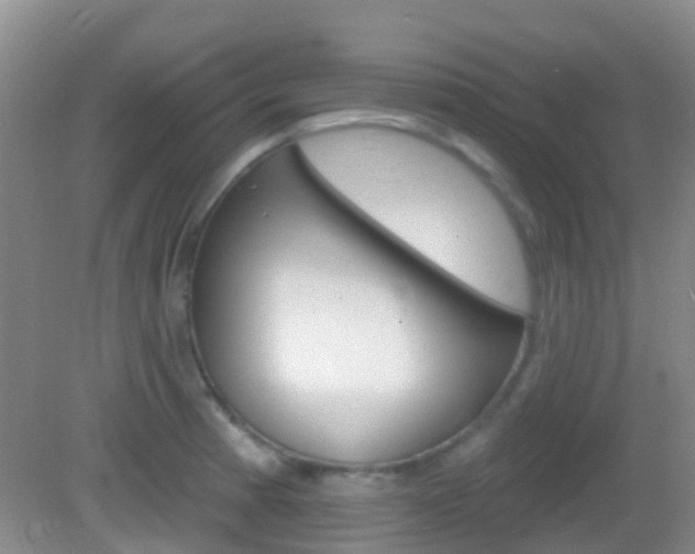 X0000082931185200702011038