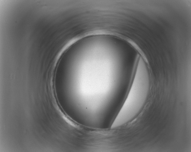X0000082931197200702011038