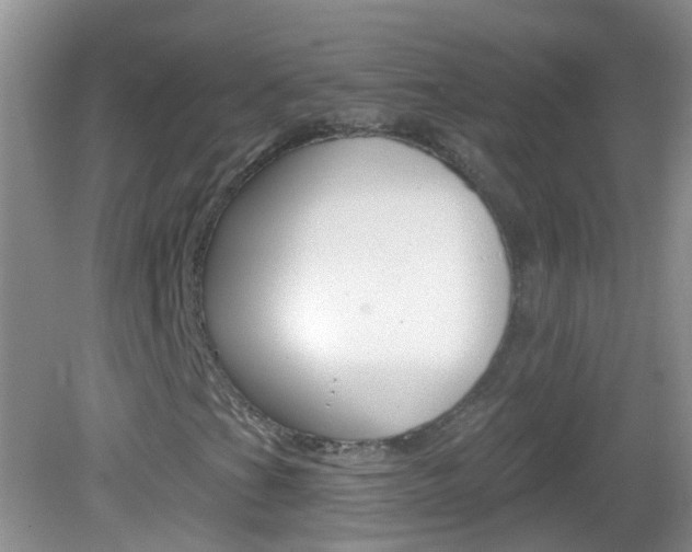 X0000082931201200702011037