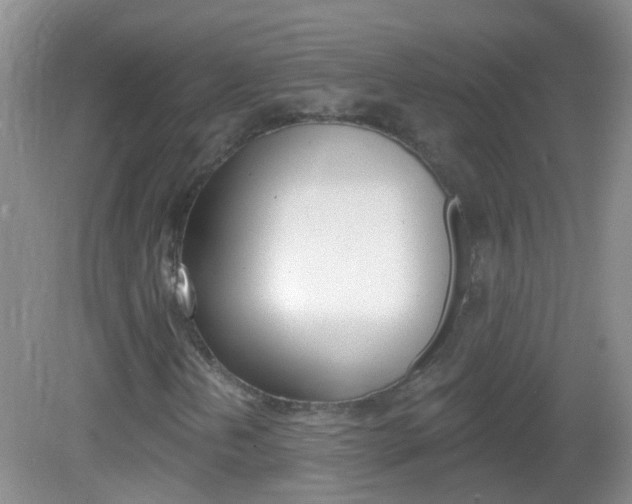 X0000082931202200702011037