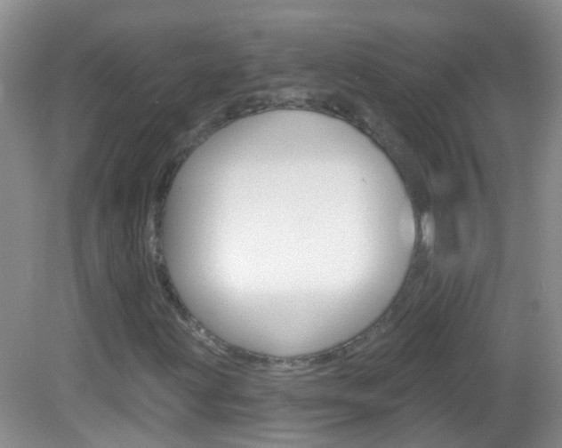 X0000082931203200702011037