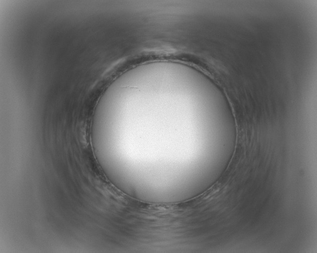 X0000082931205200702011037