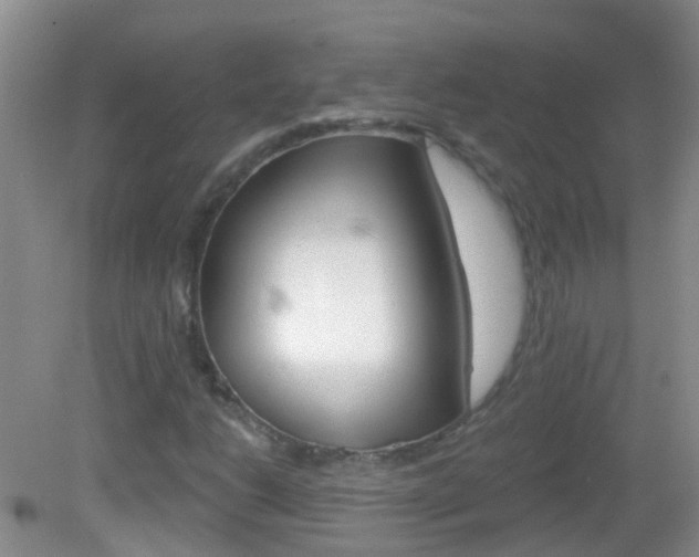 X0000082931206200702011037