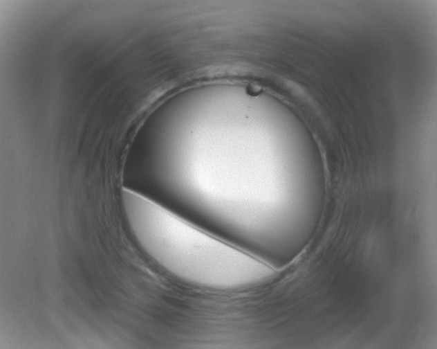 X0000082931217200702011037