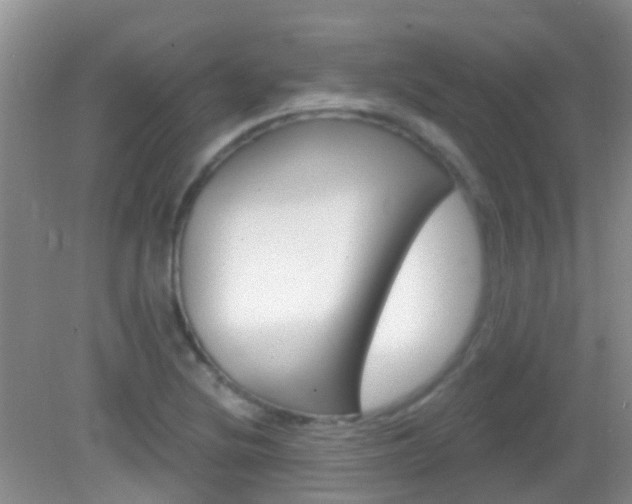 X0000082931220200702011037