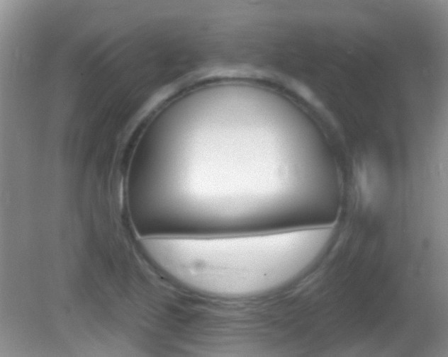 X0000082931221200702011037