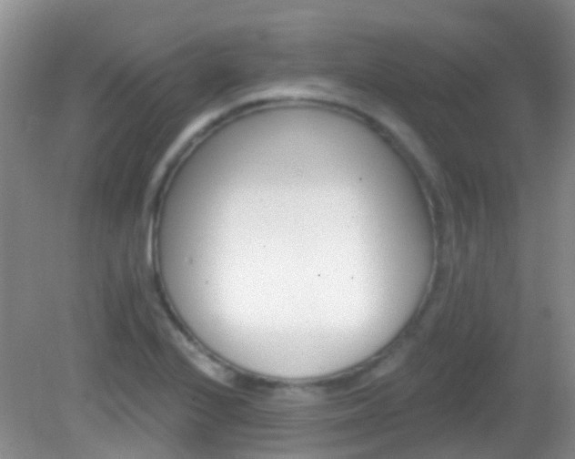X0000082931224200702011037
