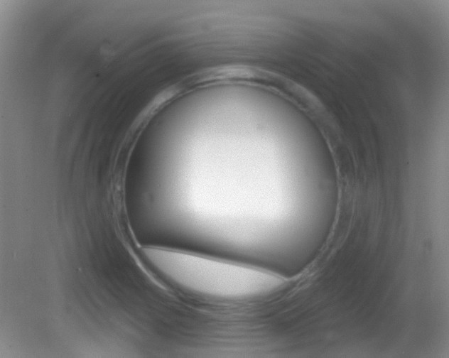 X0000082931225200702011037