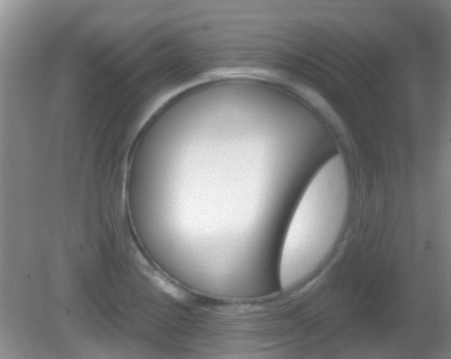 X0000082931228200702011037