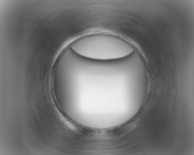 X0000082931231200702011038