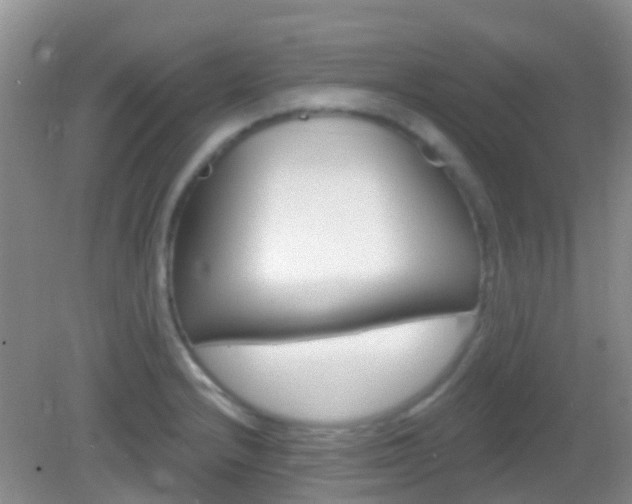 X0000082931232200702011038
