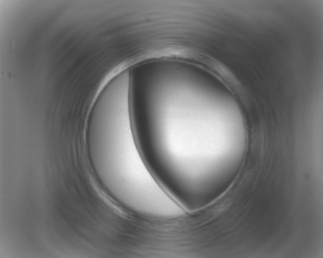 X0000082931234200702011038