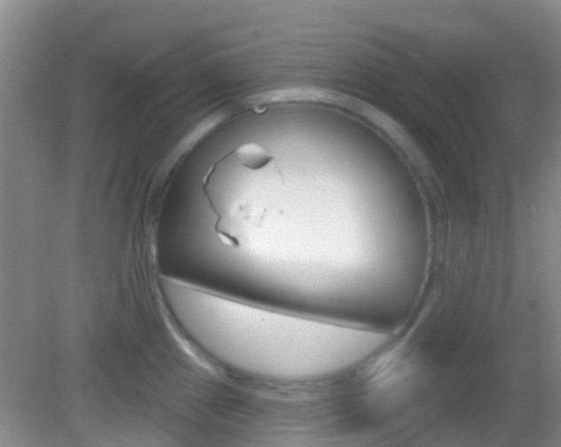 X0000082931241200702011038