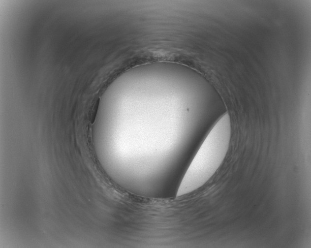 X0000082931249200702011037