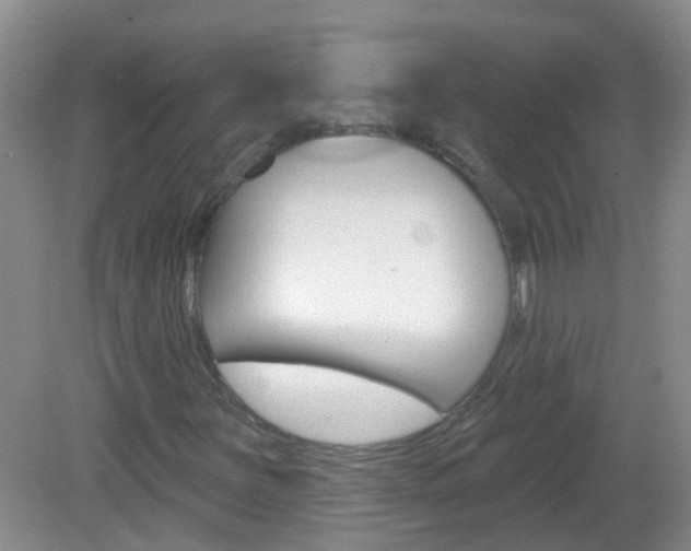 X0000082931251200702011037