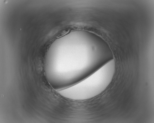 X0000082931253200702011037