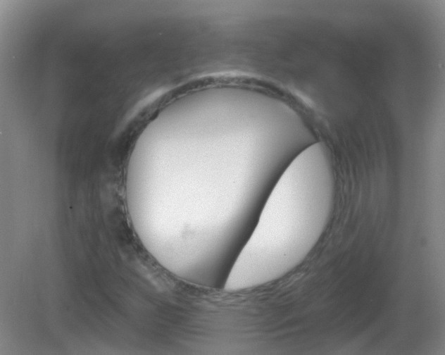 X0000082931255200702011037