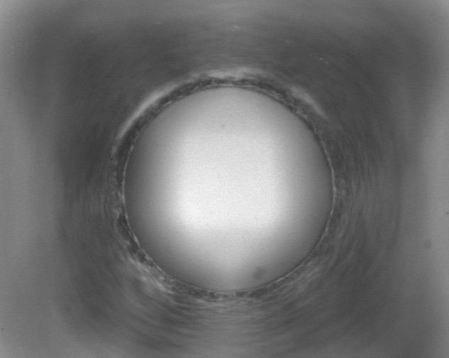 X0000082931256200702011037