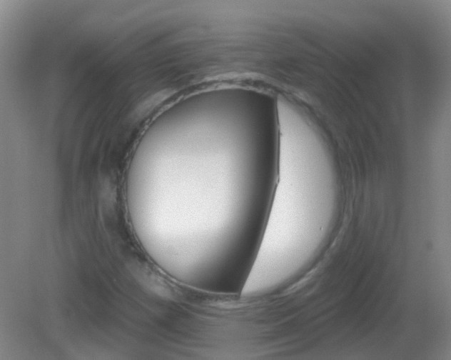 X0000082931257200702011037