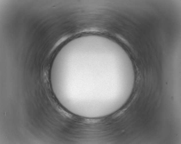 X0000082931258200702011037