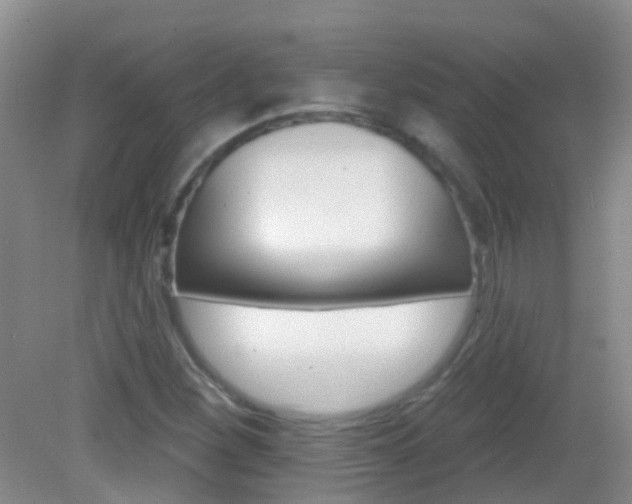 X0000082931260200702011037