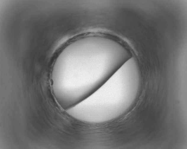 X0000082931263200702011037