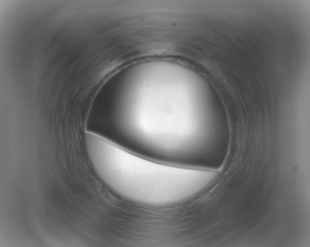 X0000082931265200702011037