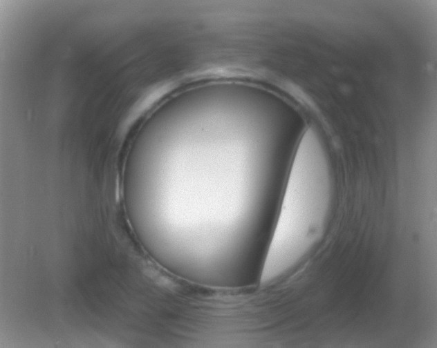 X0000082931269200702011037