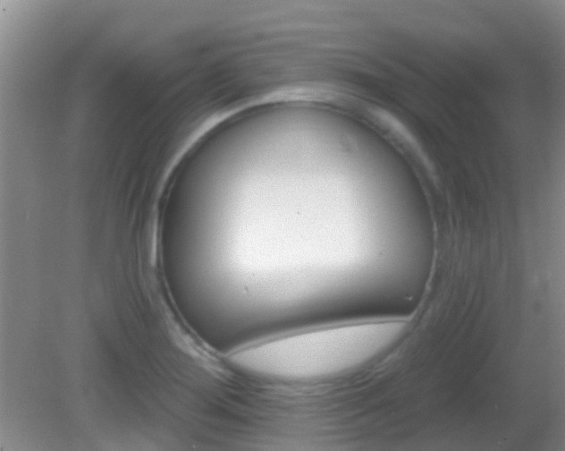 X0000082931276200702011037
