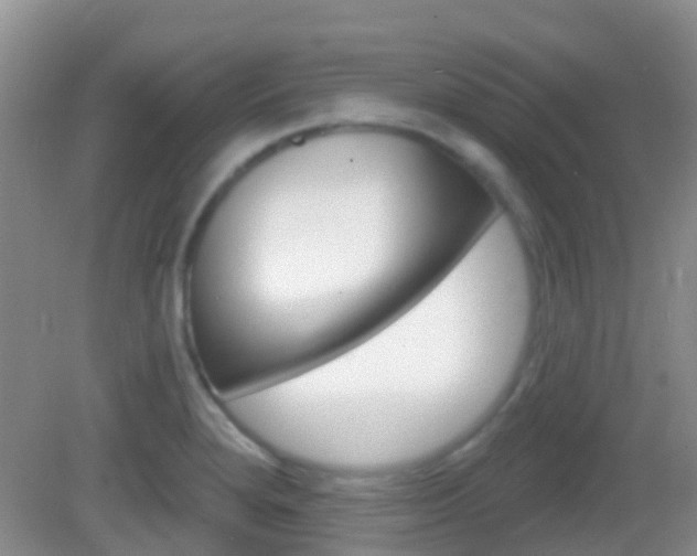 X0000082931280200702011036