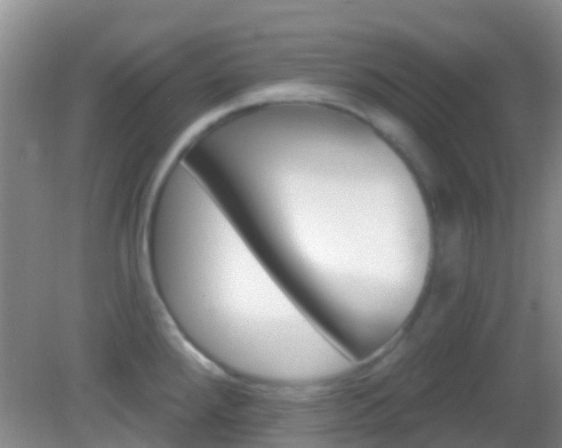 X0000082931288200702011036