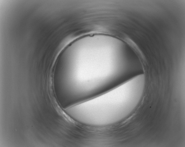 X0000082931292200702011036