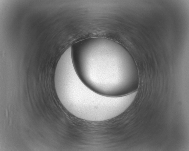 X0000082931298200702011035