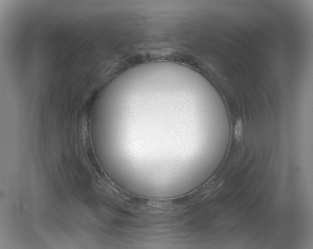 X0000082931299200702011035