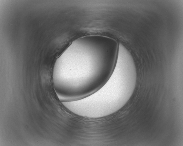 X0000082931300200702011035