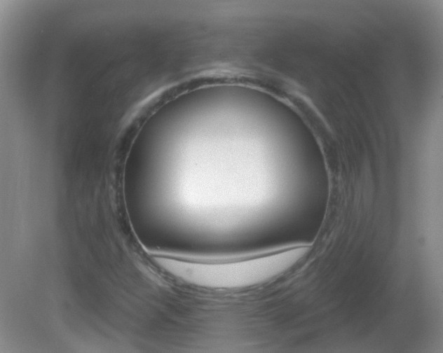 X0000082931304200702011036