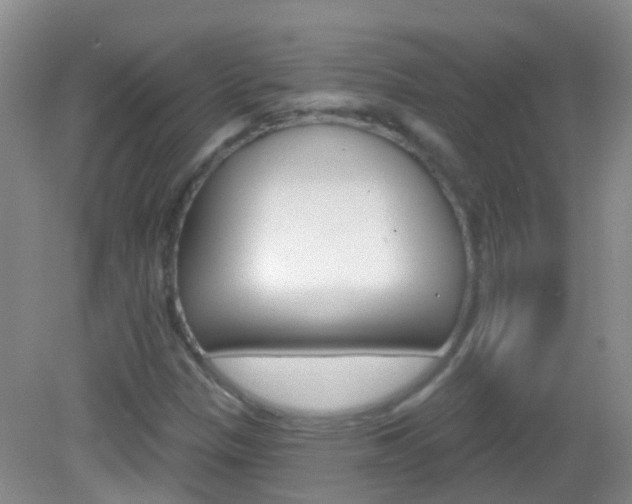 X0000082931305200702011036