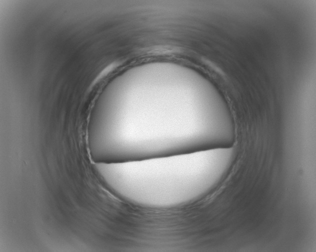X0000082931306200702011036