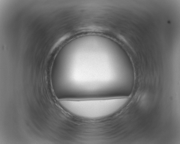 X0000082931307200702011036