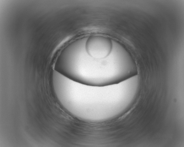 X0000082931309200702011036