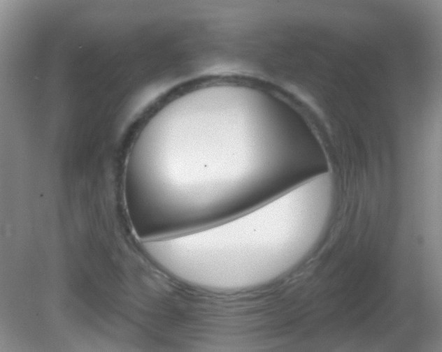 X0000082931311200702011036