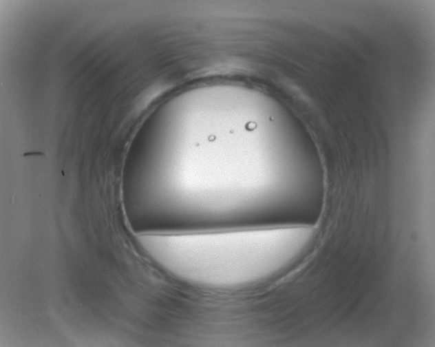 X0000082931313200702011036