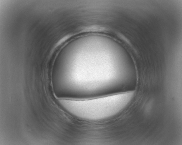 X0000082931315200702011036