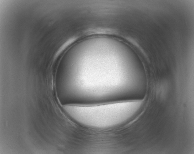 X0000082931317200702011036