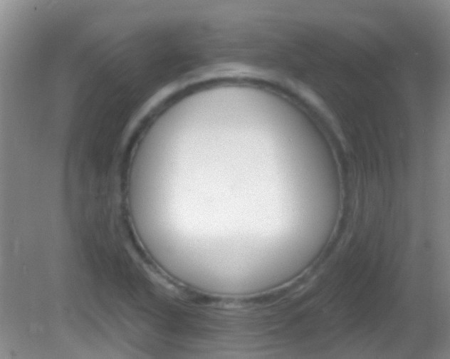 X0000082931318200702011036